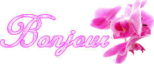 Gif animé bonjour rose